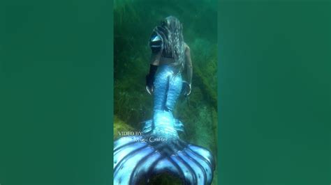 Mermaid Swims Over A Shipwreck Lake Michigan Mermaid Swims Over The
