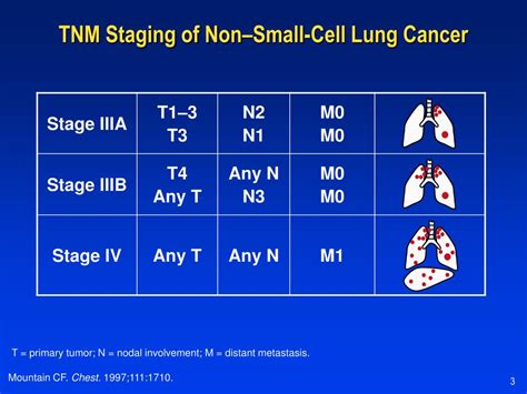 Ppt Nonsmall Cell Lung Cancer Diagnosis And Staging Powerpoint
