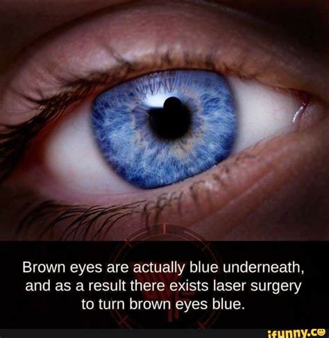 Brown Eyes Are Actually Blue Underneath And As A Result There Exists Laser Surgery To Turn
