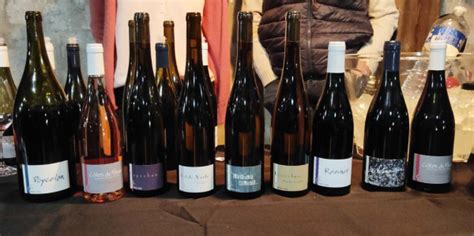 Wine Tasting Vineyards In France Loire Volcanique Tasting