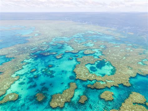 See The Great Barrier Reef On A Budget Sailing Whitsundays