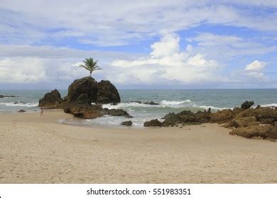 Tambaba Beach Paraiba State Brazil Nudist Stockfoto