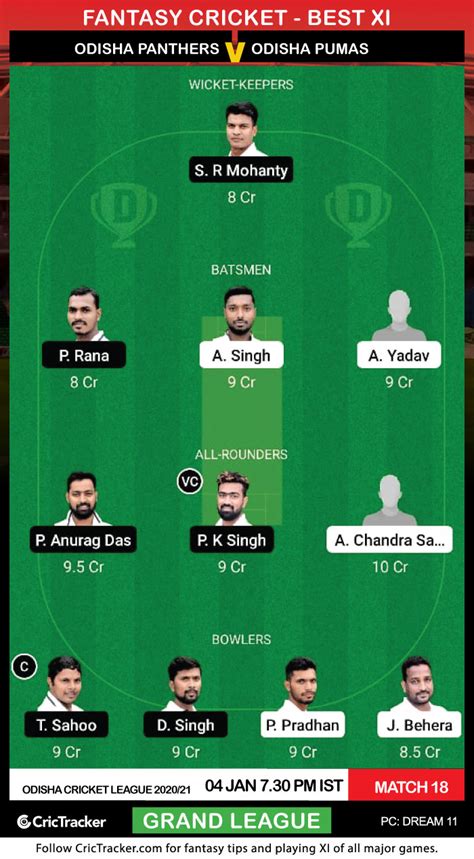 Leopards, panthers, pumas, jaguars texas puma saved the florida panther wild hunt. Odisha-Panthers-vs-Odisha-Pumas,-GL - CricTracker