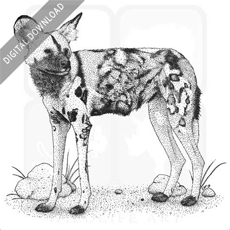 Stock Art Drawing Of An African Wild Dog Inkart