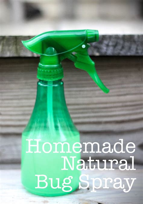 Check spelling or type a new query. Natural Bug Spray DIY | Natural bug spray diy, Homemade ...