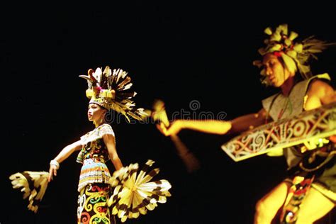 Enggang borneo kemos / enggang borneo kemos white crowned hornbill wikipedia the global community for designers and creative professionals freakingschwarz myself. Borneo - Stammes- Kultur Des Traditionellen Dayak In Indonesien Stockbild - Bild von indonesisch ...