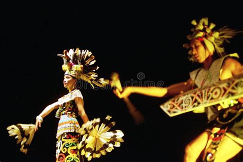 #enggang #burungkalimantan #rangkong burung cantik ini sudah sulit untuk dijumpai di alam bebas akibat rusaknya habitat dan perburuan oleh manusia. Borneo - Stammes- Kultur Des Traditionellen Dayak In Indonesien Stockbild - Bild von indonesisch ...