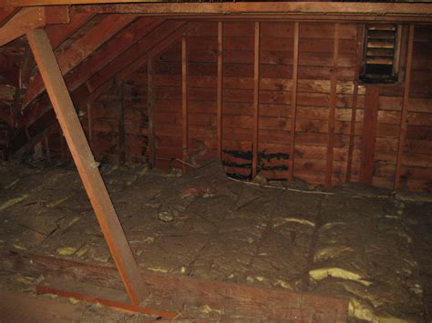 attic unfinished | the unfinished portion of the attic | gregelyn | Flickr