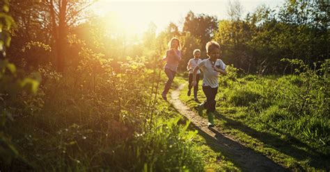Explore those expenditures here at opensecrets.org. Free range kids: Utah children can play alone, without parents
