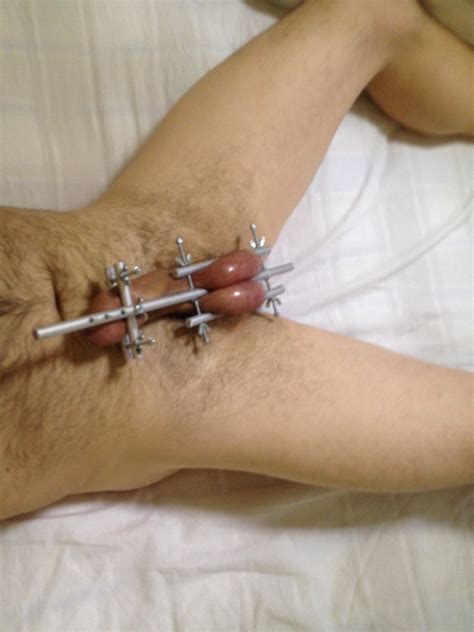 Male Cock And Ball Torture Quality Porn