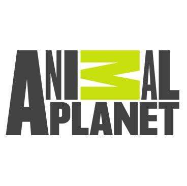 Animal Planet | World Branding Awards