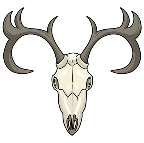 How To Draw A Deer Skull Really Easy Drawing Tutorial