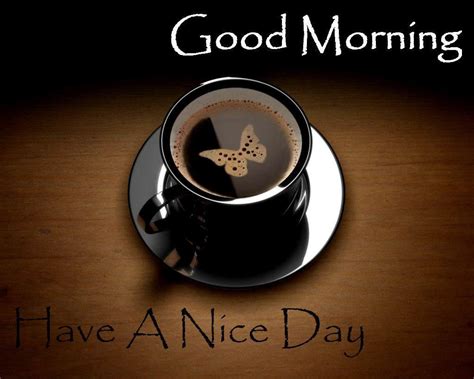wallpaper id 571336 day morning nice good wishes quotes 480p good morning wishes have