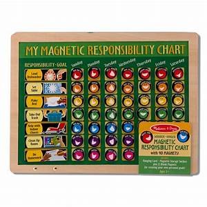 Shop Doug Magnetic Responsibility Chart Play Set On Sale