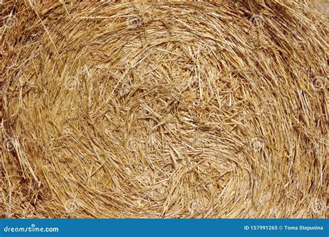 Abstract Blurred Nature Background Straw Texture Close Up Stack Of