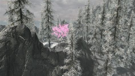 Totk Cherry Blossoms With Satori At Skyrim Special Edition Nexus Mods