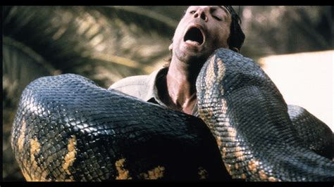 Shocking Giant Anaconda Eats Man Alive Biggest Snake In The World Giant