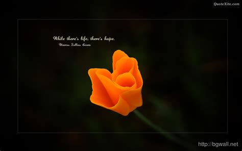 While Theres Life Theres Hope - Background Wallpaper HD