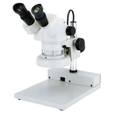 Medical Microscope By Paras Equipments Medical Microscope Inr 29 K