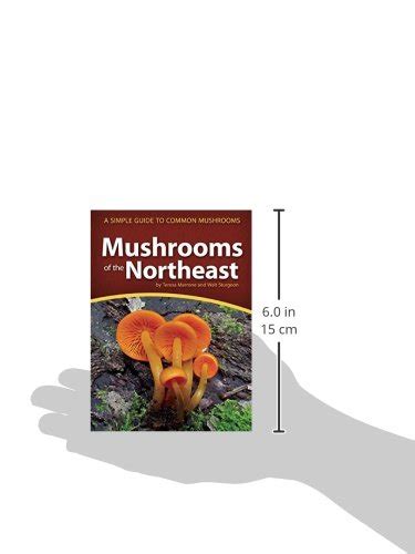 20 Best Mushroom Field Guides Of 2023reviews And Comparison Bdr