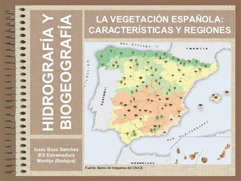Regiones Biogeográficas Españolas Tipos De Texto Fichas Actividades