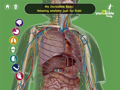 My Incredible Body A Kids App To Learn About The Human Body Sullapp