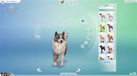 The Sims 4 Cats And Dogs 145 Screens From The Create A Pet Gameplay Trailer