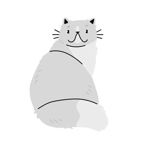 fat persian cat illustrations royalty free vector graphics and clip art istock