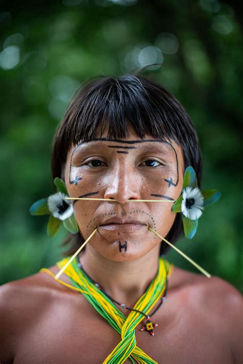 The Yanomami Struggle The Shed