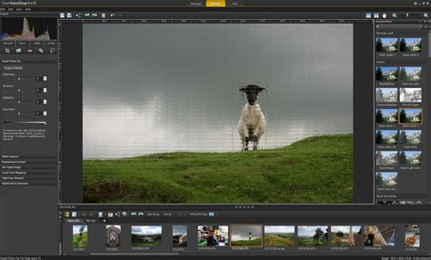 Corel Announces Paintshop Pro X5 Digital Photography Review