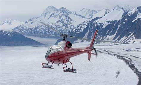 Helicopter And Hiking Day Tour At The Denali National Park Preserve