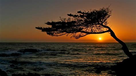 43 California Sunset Wallpaper On Wallpapersafari