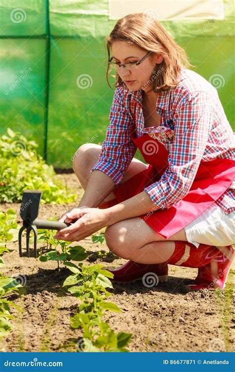 Woman With Gardening Tool Working In Garden Stock Image Image Of