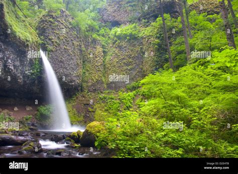 Ponytail Falls In The Columbia River Gorge National Scenic Area Oregon
