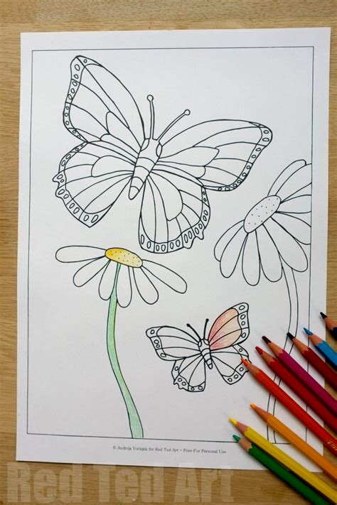 Summer Colouring Pages For Kids Butterflies And Flowers Free Printable Red Ted Arts Blog