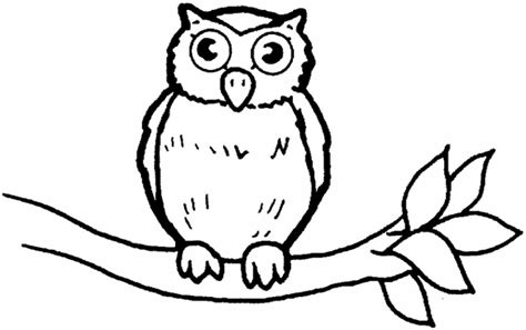 owl coloring pages  coloring kids
