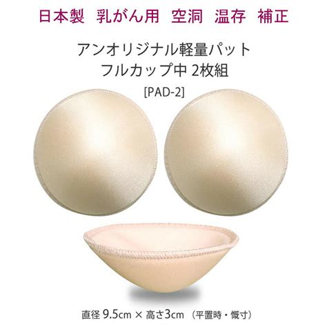 主治医の言葉 34歳で乳がんを告知されたワンオペワーママの記録。