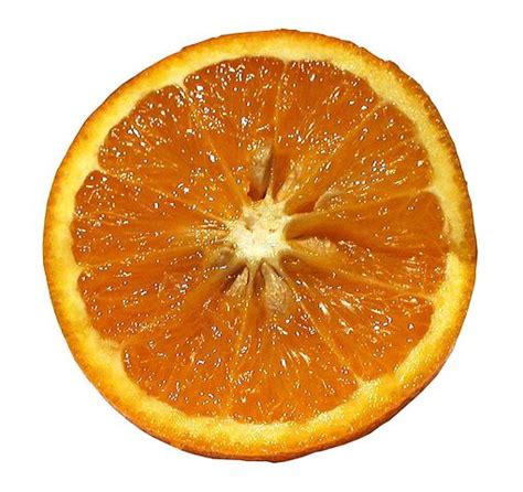 Orange Slice Images · Pixabay · Download Free Pictures