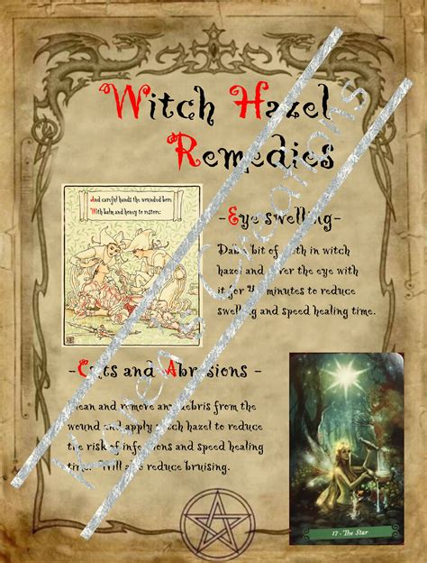Witch Hazel Remedies Halloween Spell Book Spell Book Halloween Spells