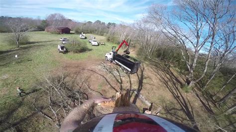 We offer tree removal, tree trimming, cabling, tree limb cutting, emergency tree removal, pruning, or stump grinding services at a low cost. Tree removal in Sharpsburg GA - YouTube