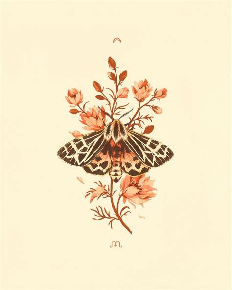 A Butterfly Sitting On Top Of A Flower Next To A Tweep Postcard