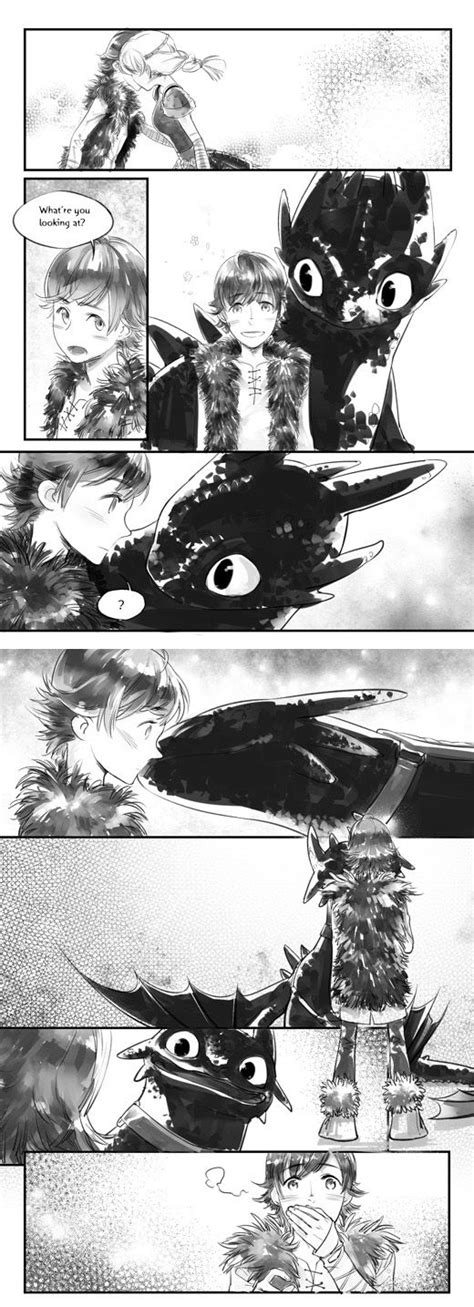 Httyd On Deviantart Hiccup And Toothless Pinterest