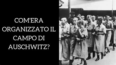 Campo Di Concentramento Di Auschwitz Com Era Organizzato YouTube