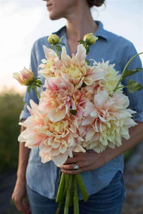 How To Grow Dahlias With Erin Of Floret Farm From Britain With Love