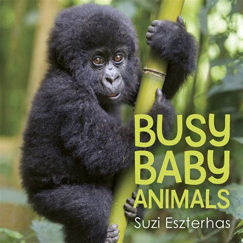 Busy Baby Animals By Suzi Eszterhas Goodreads
