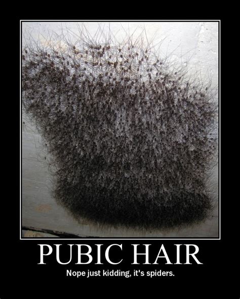 Female Pubic Hairstyles Hairstyle