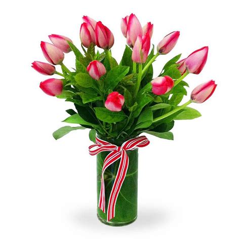 Sweetheart Tulip Bouquet Fresh Tulip Bouquet For Anniversary Or Birthday