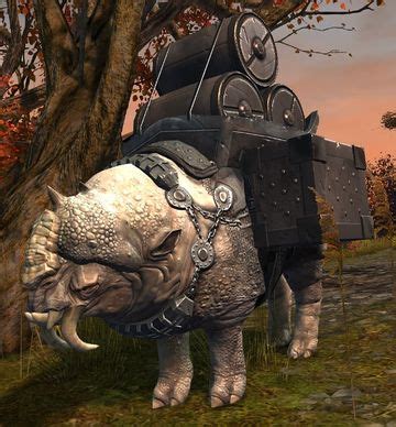 You'll see all the latest colours and styles. Pact Supply Caravan - Guild Wars 2 Wiki (GW2W)