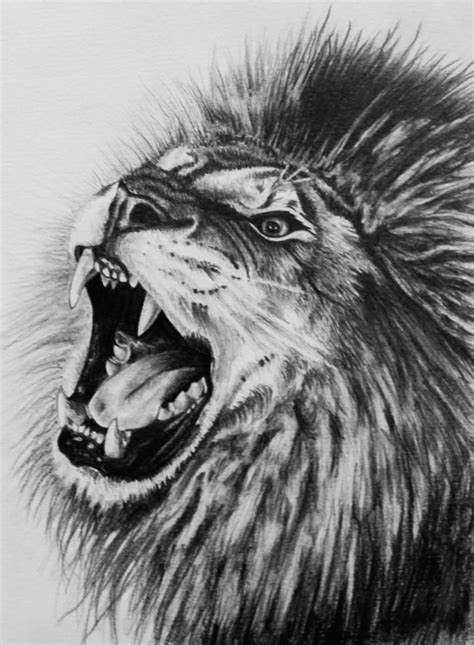 29 Pencil Sketch Of Roaring Lion Annmarieoak
