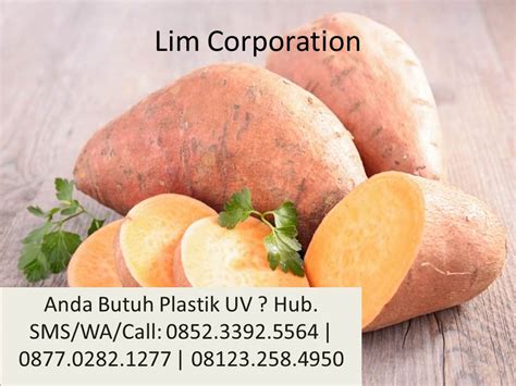 Tips Untuk Budidaya Flora Ubi Jalar Lim Corporation